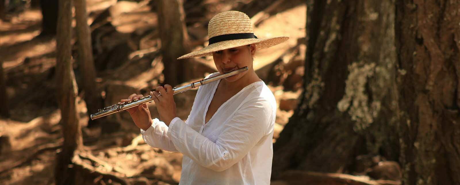 Aventures Musicales Ephémères - Cover